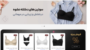 Eshve Lingerie Store